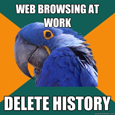 web browsing at work delete history  Paranoid Parrot