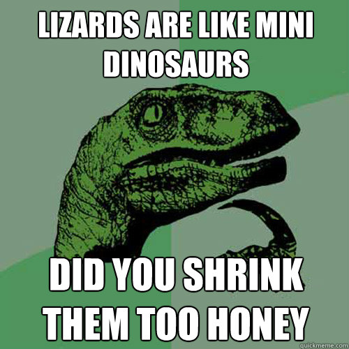 lizards are like mini dinosaurs did you shrink them too honey  Philosoraptor