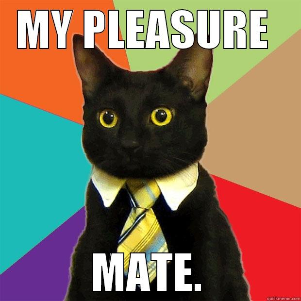MY PLEASURE  MATE. Business Cat