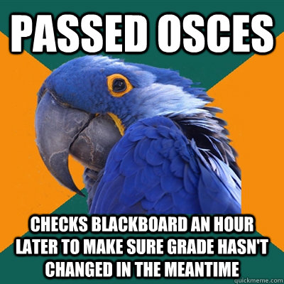 Passed OSCEs Checks blackboard an hour later to make sure grade hasn't changed in the meantime  Paranoid Parrot