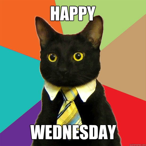 HAPPY WEDNESDAY - HAPPY WEDNESDAY  Business Cat