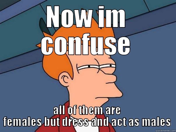 NOW IM CONFUSE ALL OF THEM ARE FEMALES BUT DRESS AND ACT AS MALES Futurama Fry