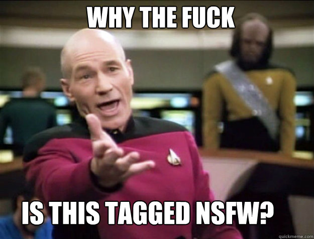 WHY THE FUCK IS THIS TAGGED NSFW?  Piccard 2