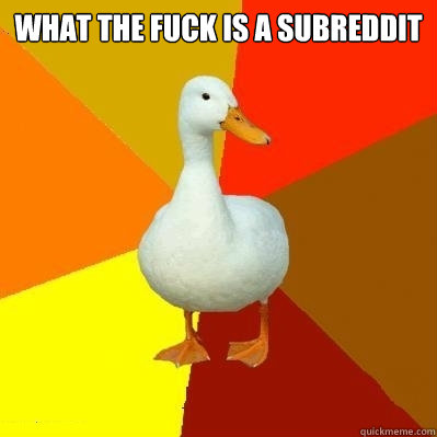 what the fuck is a subreddit   Tech Impaired Duck
