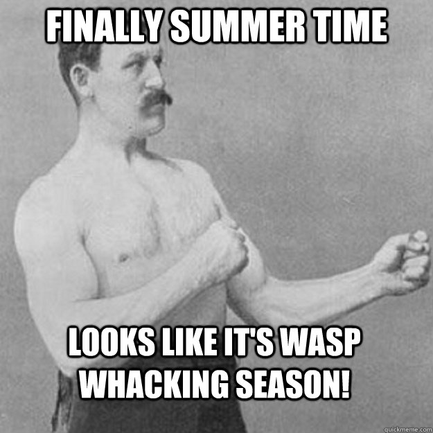 Finally summer time Looks like it's wasp whacking season!  overly manly man