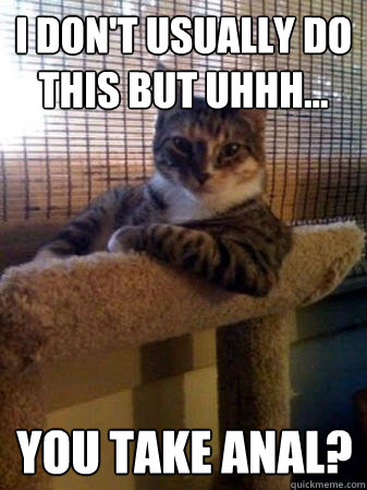 I don't usually do this but uhhh... you take anal?  The Most Interesting Cat in the World