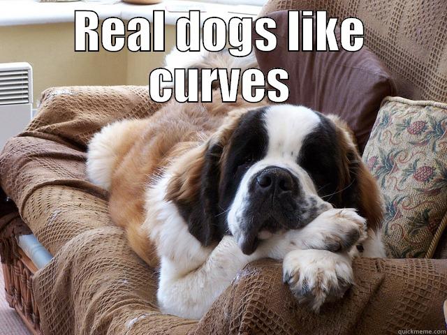 Curvy dog - REAL DOGS LIKE CURVES  Misc