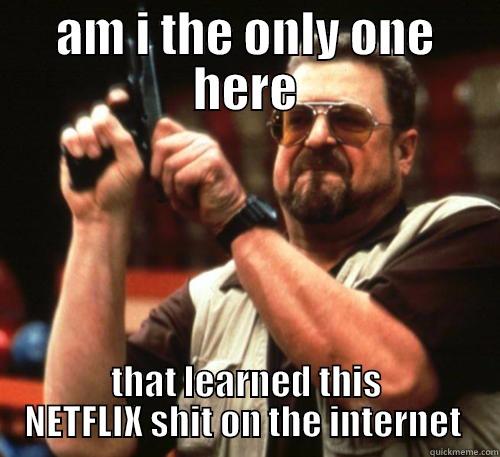 you learn a lot on the internet  - AM I THE ONLY ONE HERE THAT LEARNED THIS NETFLIX SHIT ON THE INTERNET  Am I The Only One Around Here