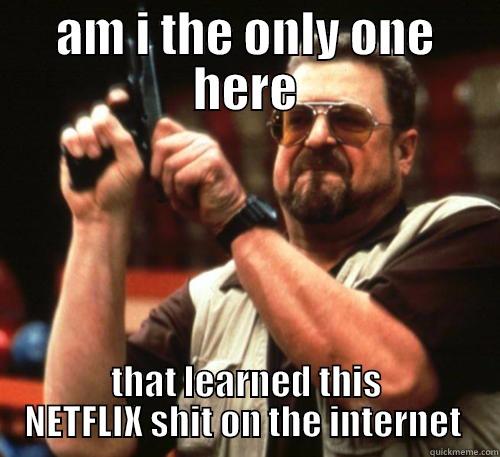 AM I THE ONLY ONE HERE THAT LEARNED THIS NETFLIX SHIT ON THE INTERNET  Am I The Only One Around Here