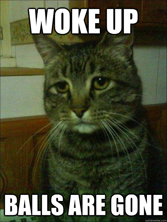 WOKE UP BALLS ARE GONE  