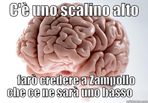    C'È UNO SCALINO ALTO       FARÒ CREDERE A ZAMPOLLO CHE CE NE SARÀ UNO BASSO    Scumbag Brain