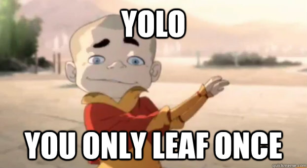 yolo you only leaf once - yolo you only leaf once  Yolo