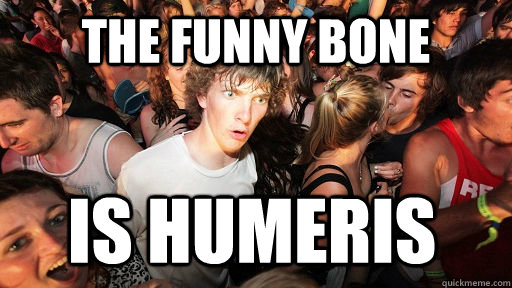 The funny bone Is Humeris   Sudden Clarity Clarence