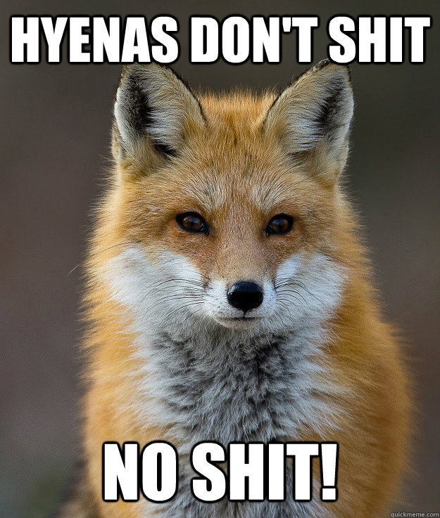 Hyenas don'T SHIT NO SHIT!  Fun Fact Fox