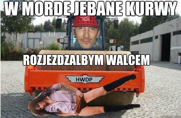 w morde jebane kurwy rozjezdzalbym walcem  trolololo