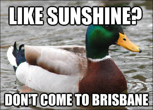 Like sunshine? Don't come to Brisbane  Actual Advice Mallard