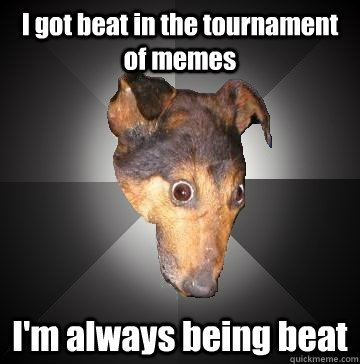 I got beat in the tournament of memes I'm always being beat - I got beat in the tournament of memes I'm always being beat  Depression Dog