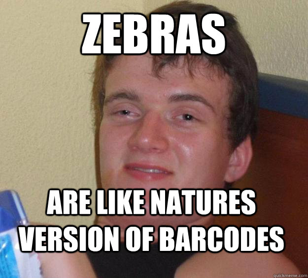 Zebras are like natures version of barcodes   10 Guy