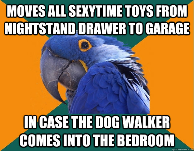 moves all sexytime toys from nightstand drawer to garage in case the dog walker comes into the bedroom  Paranoid parrot flat tire