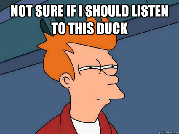 Not sure if I should listen to this duck  - Not sure if I should listen to this duck   Futurama Fry