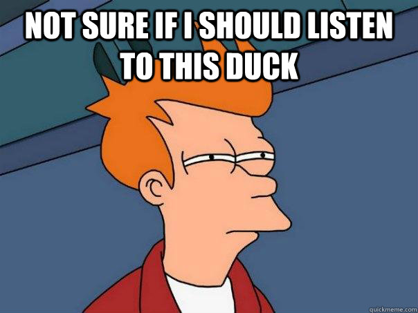 Not sure if I should listen to this duck   Futurama Fry
