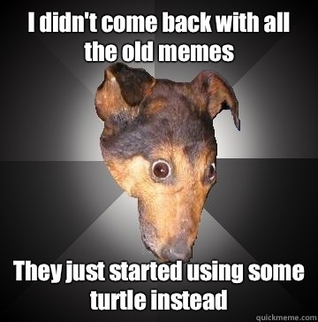 I didn't come back with all the old memes They just started using some turtle instead  Depression Dog