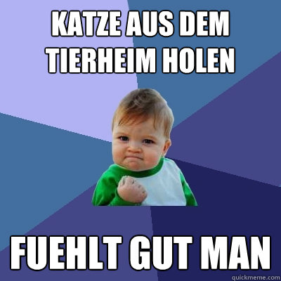Katze aus dem Tierheim holen Fuehlt gut man  Success Kid