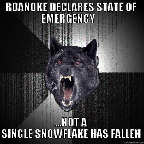 ROANOKE DECLARES STATE OF EMERGENCY    ...NOT A SINGLE SNOWFLAKE HAS FALLEN Insanity Wolf