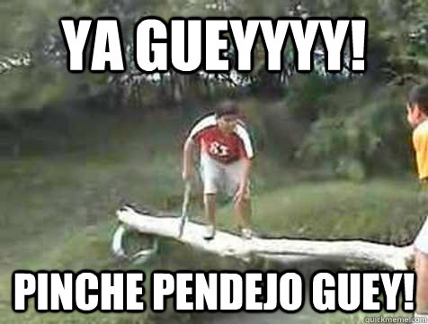 Ya gueyyyy! Pinche pendejo guey! - Ya gueyyyy! Pinche pendejo guey!  La caida de edgar