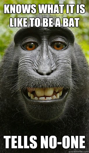 Knows what it is like to be a bat Tells no-one  Mindful Macaque