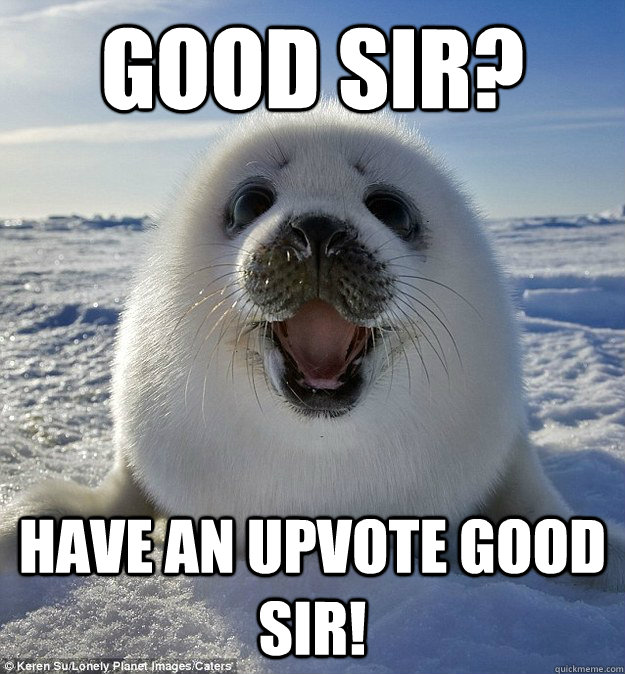 GOOD SIR? HAVE AN UPVOTE GOOD SIR!  Easily Pleased Seal