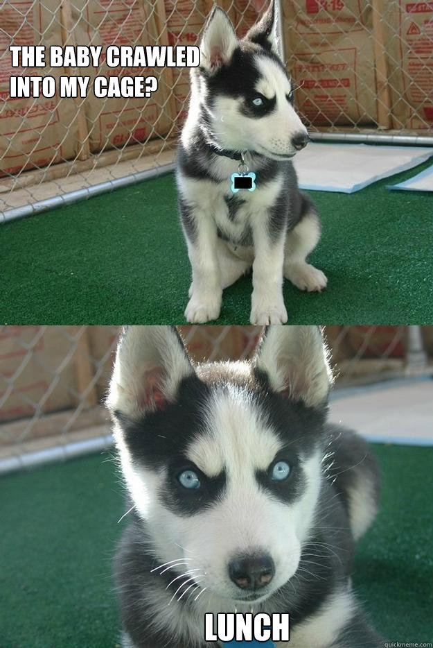 the baby crawled into my cage? lunch - the baby crawled into my cage? lunch  Insanity puppy