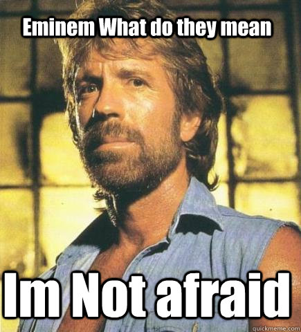 Eminem What do they mean Im Not afraid - Eminem What do they mean Im Not afraid  Chuck Norris Knows