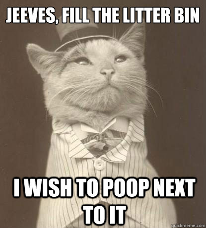 Jeeves, fill the litter bin i wish to poop next to it - Jeeves, fill the litter bin i wish to poop next to it  Aristocat