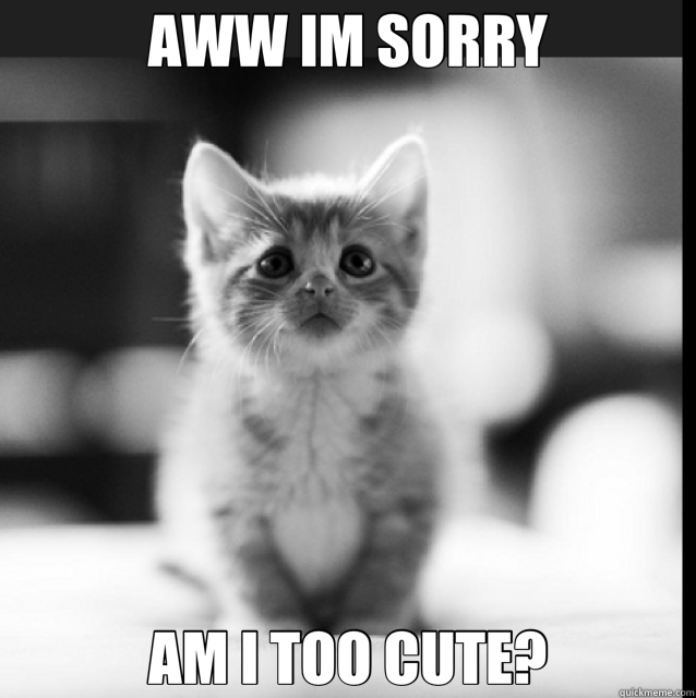 AWW IM SORRY AM I TOO CUTE? - AWW IM SORRY AM I TOO CUTE?  Misc