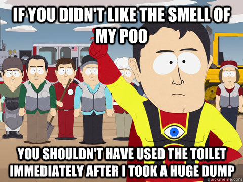 If you didn't like the smell of my poo you shouldn't have used the toilet immediately after I took a huge dump  Captain Hindsight