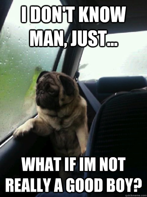 I don't know man, just... What if Im not really a good boy? - I don't know man, just... What if Im not really a good boy?  Introspective Pug