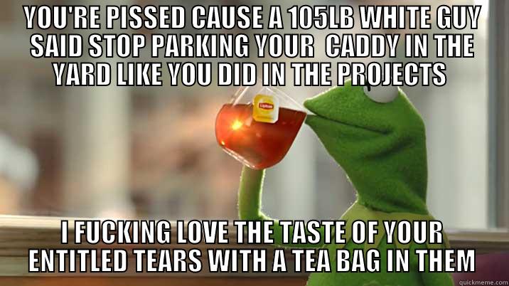 YOU'RE PISSED CAUSE A 105LB WHITE GUY SAID STOP PARKING YOUR  CADDY IN THE YARD LIKE YOU DID IN THE PROJECTS  I FUCKING LOVE THE TASTE OF YOUR ENTITLED TEARS WITH A TEA BAG IN THEM Misc