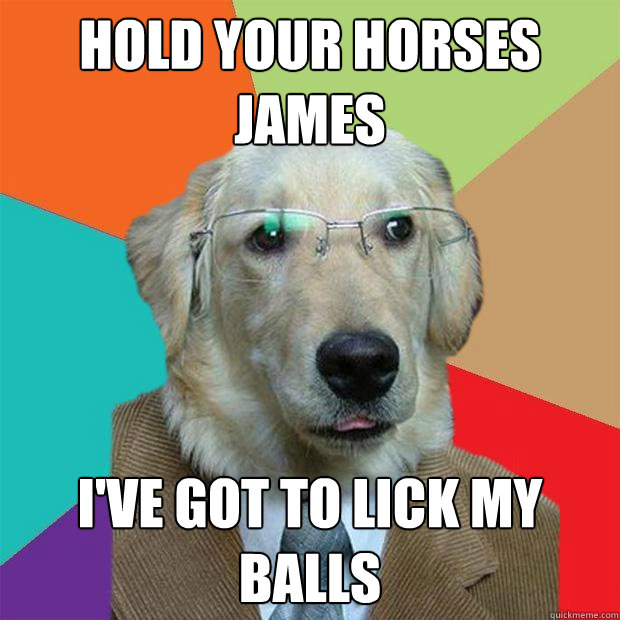 Hold your horses james I'VE GOT TO LICK MY BALLS - Hold your horses james I'VE GOT TO LICK MY BALLS  Business Dog