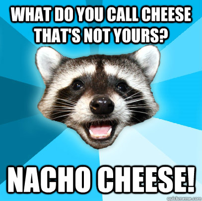 what do you call cheese that's not yours? nacho cheese! - what do you call cheese that's not yours? nacho cheese!  Lame Pun Coon