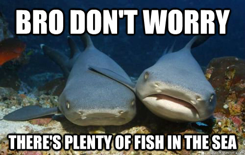 BRO DON'T WORRY THERE'S PLENTY OF FISH IN THE SEA - BRO DON'T WORRY THERE'S PLENTY OF FISH IN THE SEA  Compassionate Shark Friend
