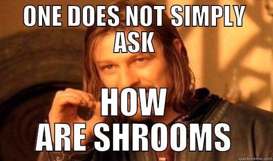 ONE DOES NOT SIMPLY ASK HOW ARE SHROOMS Boromir