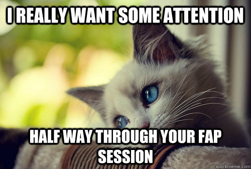 I really want some attention half way through your fap session - I really want some attention half way through your fap session  First World Cat Problems
