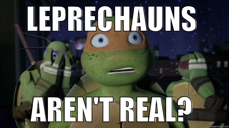 LEPRECHAUNS AREN'T REAL? Misc