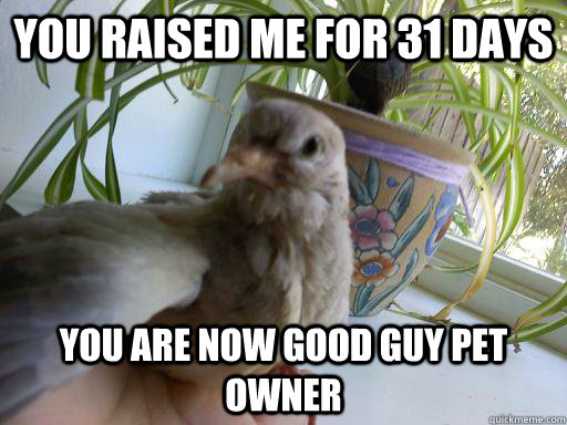 you raised me for 31 days you are now good guy pet owner - you raised me for 31 days you are now good guy pet owner  Misc