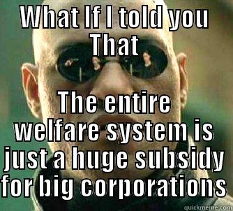 WHAT IF I TOLD YOU THAT THE ENTIRE WELFARE SYSTEM IS JUST A HUGE SUBSIDY FOR BIG CORPORATIONS Matrix Morpheus
