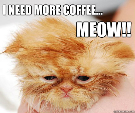 I need more coffee... MEOW!!!  