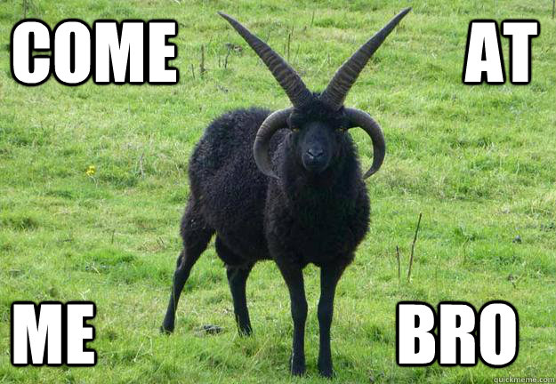 come                      at me                       bro - come                      at me                       bro  Misc