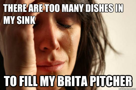 There are too many dishes in  my sink to fill my Brita Pitcher   First World Problems
