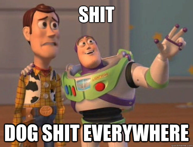 shit dog shit everywhere  Sunburns Everywhere